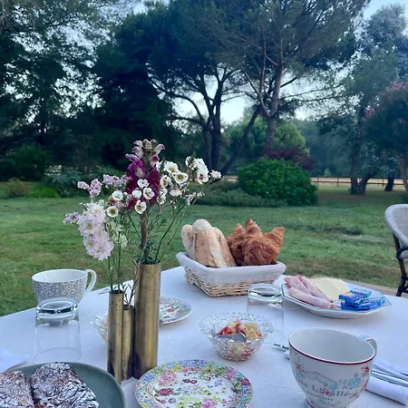 بيت ضيافة Domaine De Millon 3*