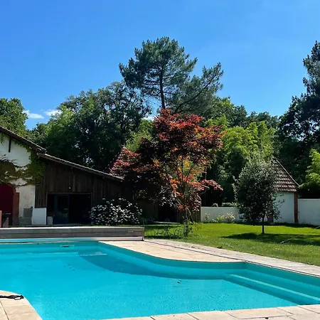Domaine De Millon سوستون