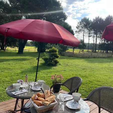 Domaine De Millon