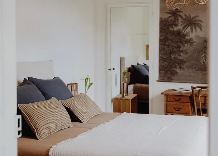 Domaine De Millon Soustons